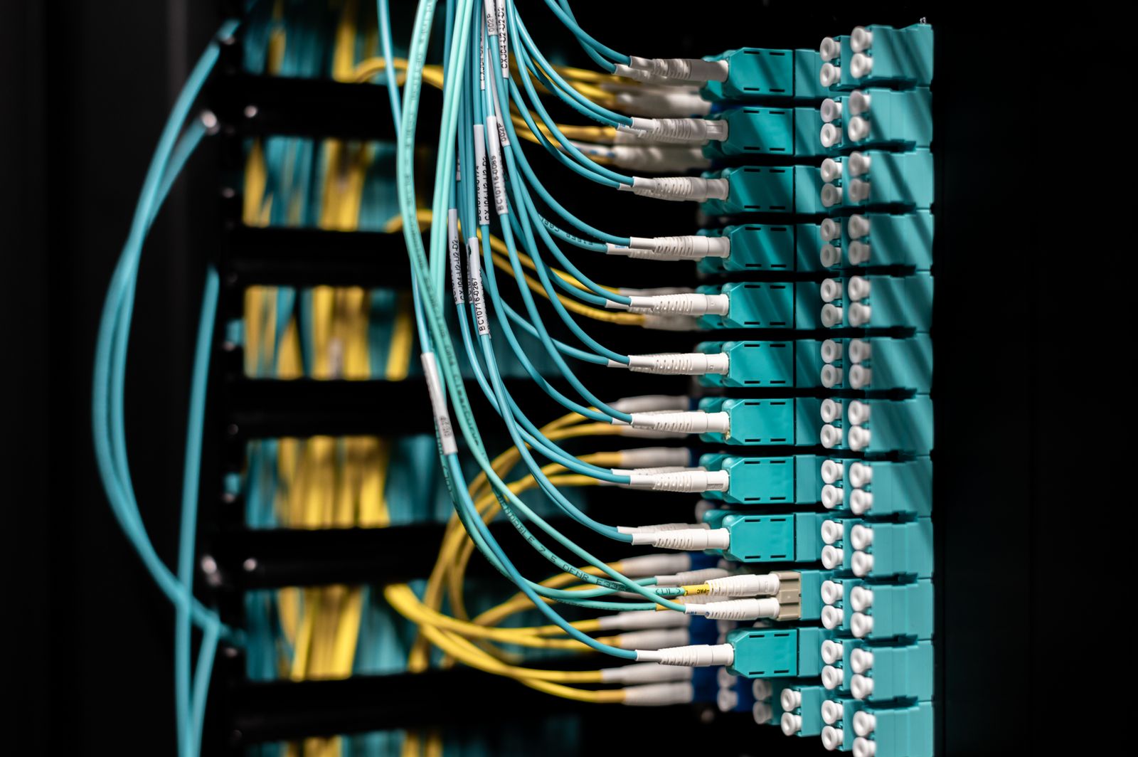 Baie de fibres optiques et leurs connecteurs